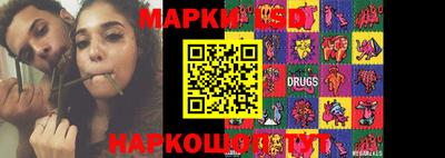 a pvp Гатчина