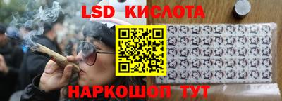 a pvp Гатчина