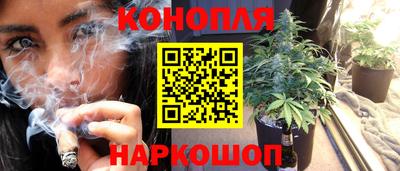 a pvp Гатчина