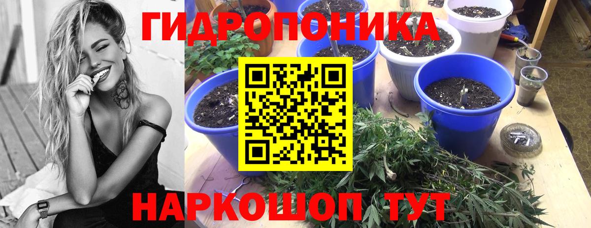 Бошки марихуана марихуана  Канабис OG Kush  Киреевск  Вход с VPN  Бошки марихуана OG Kush 